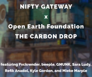 The Carbon Drop NFT Auctions - Nifty Gateway