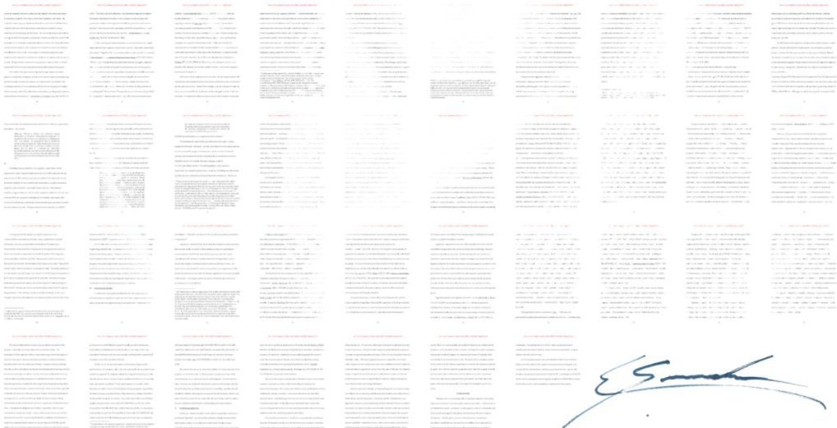 Edward Snowden-NFT
