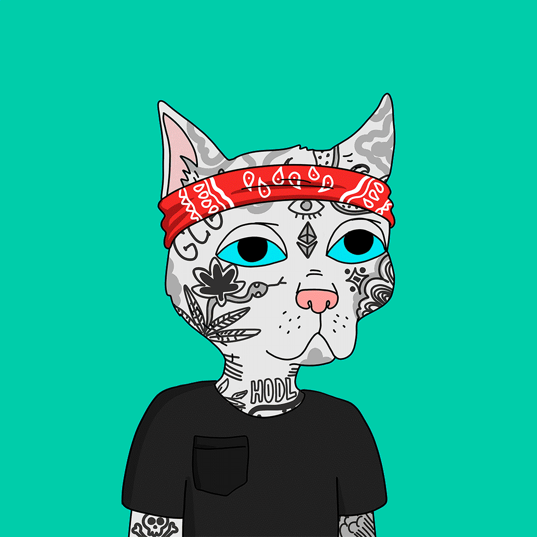 Gutter Cat NFTs : The Gang is coming with the next Avatar Based