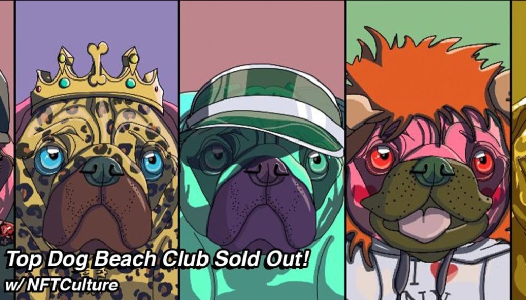 Top Dog Beach Club NFT Sold Out!!! NFT Culture
