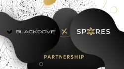 Blackdove - Spores - NFT Display Partners