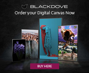 blackdove-nft-display