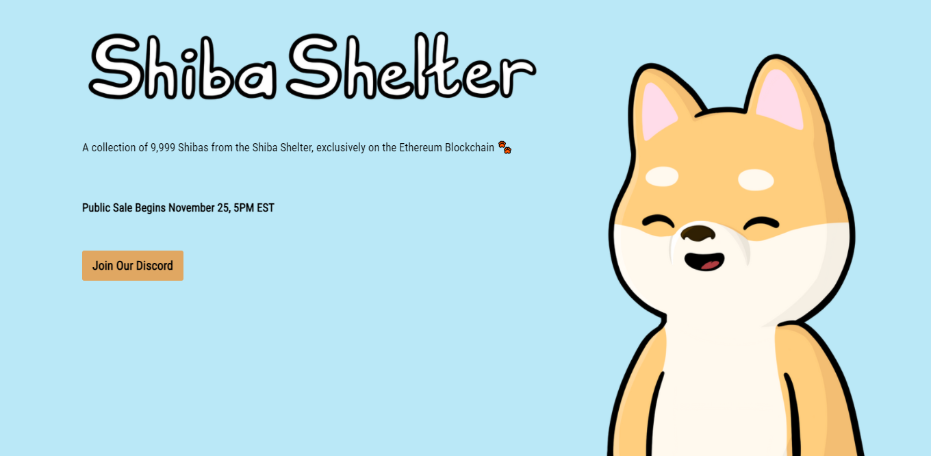 shiba-shelter NFT