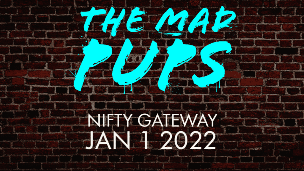 Mad Pups Nifty Gateway