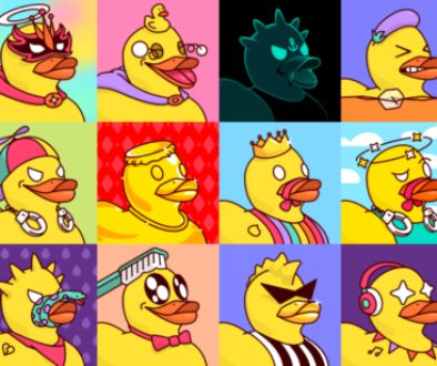 rubber duck banner