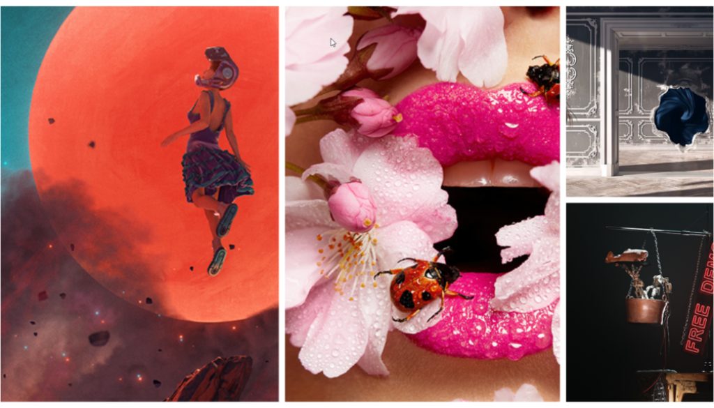 Bloom I Bloom I