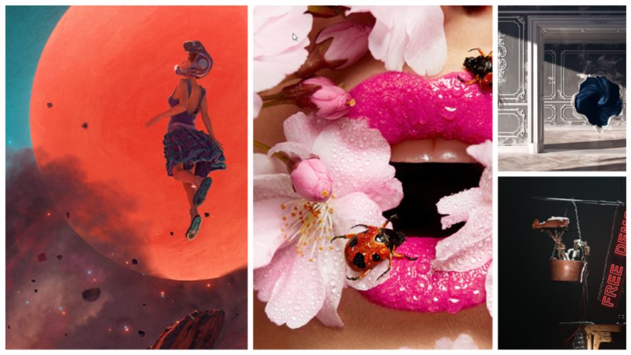 Bloom I