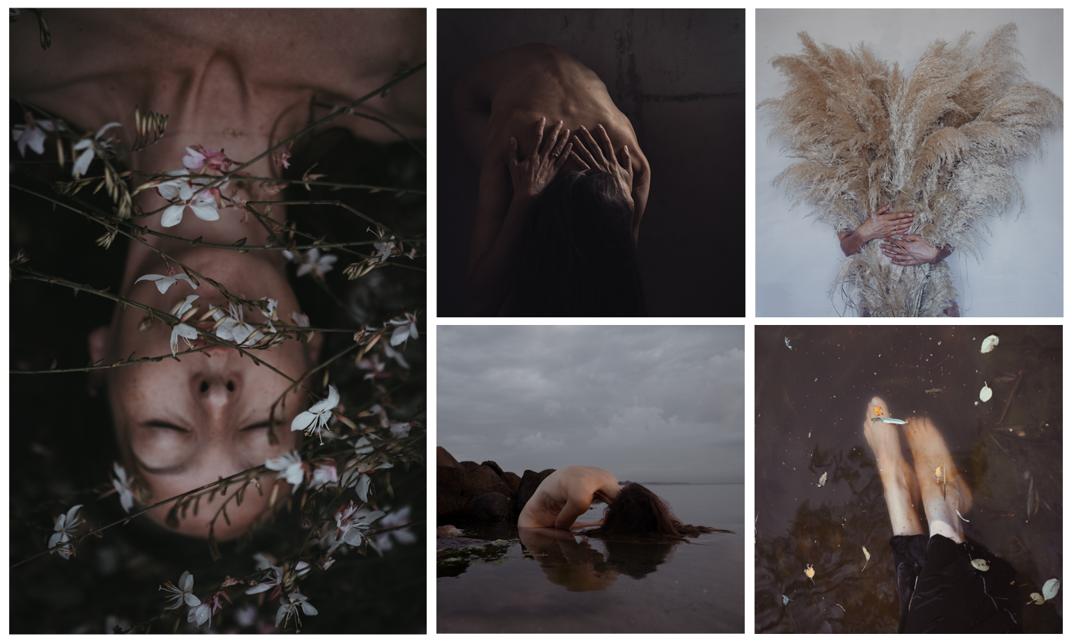header image NFT culture mariafynsknorup header image NFT culture mariafynsknorup