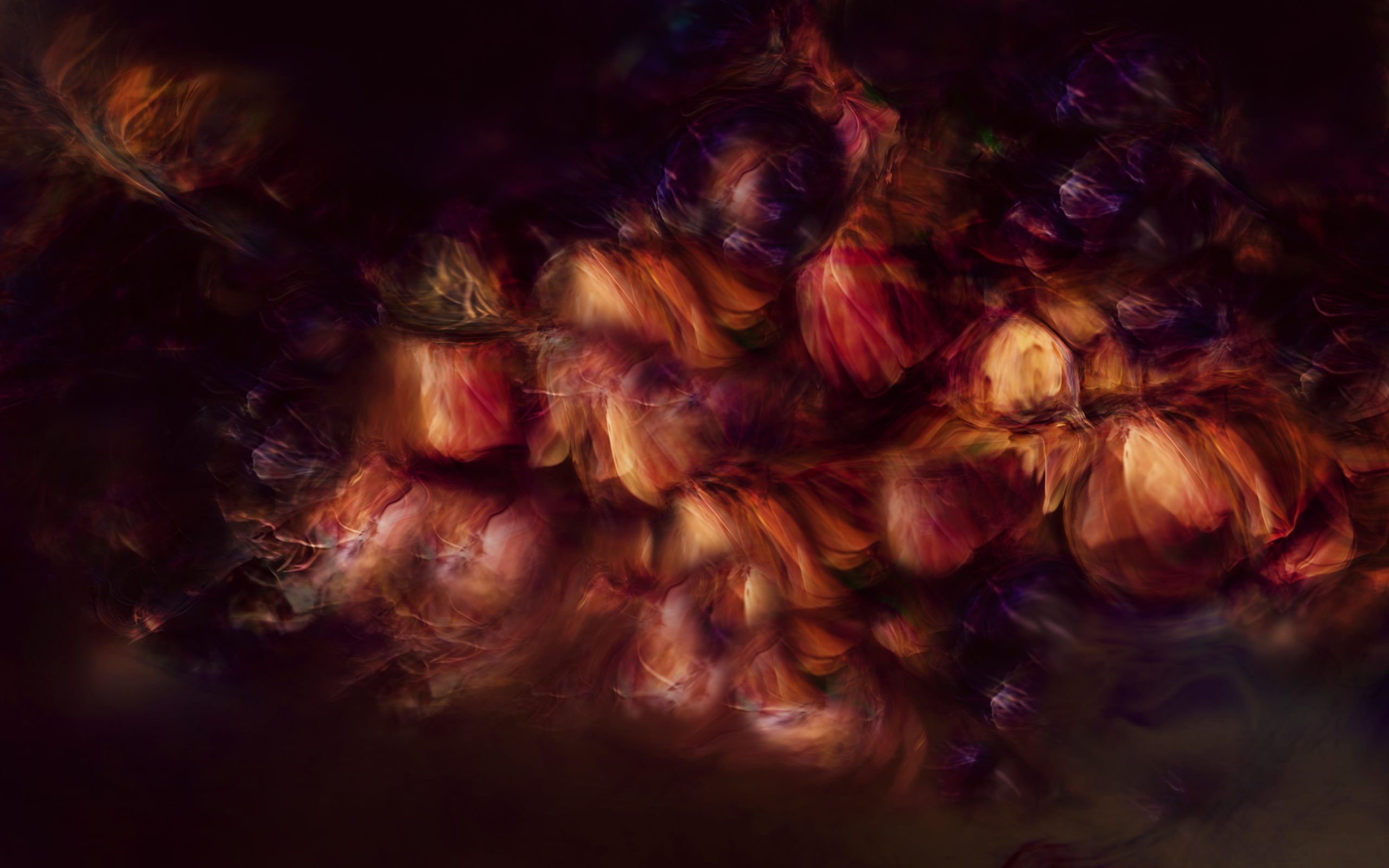 Header Header