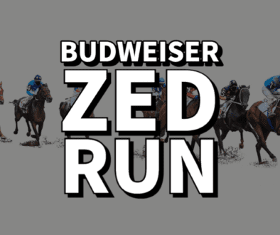 budweiser partners with zed run-1