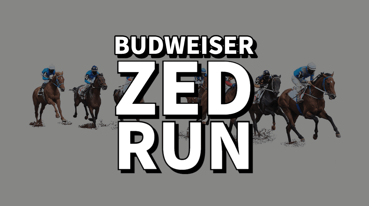 budweiser partners with zed run-1
