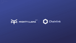 Chainlink Mighty Llama