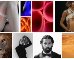 Giulio Aprin Curated NFT Collection-1 Giulio Aprin Curated NFT Collection-1