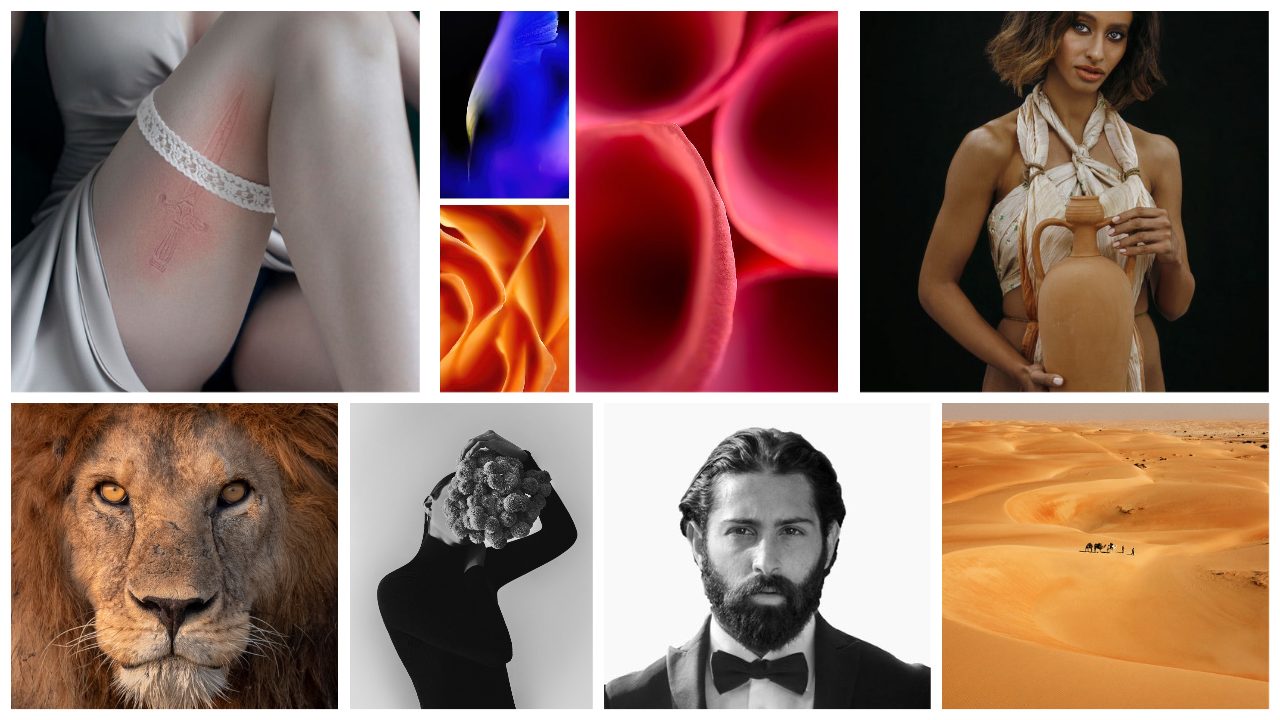Giulio Aprin Curated NFT Collection-1 Giulio Aprin Curated NFT Collection-1