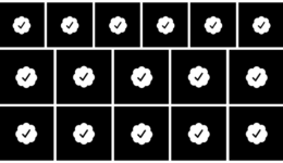 vv-check mate nft project-1