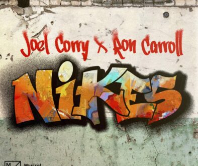 NIKES artwork